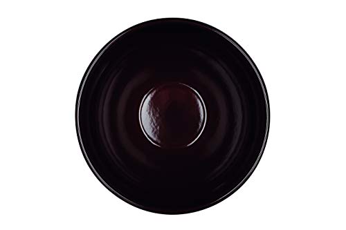 riess-sarah-wiener-edition-sch-ssel-22-cm-schoko-pistazie-emaille-bowl image 5