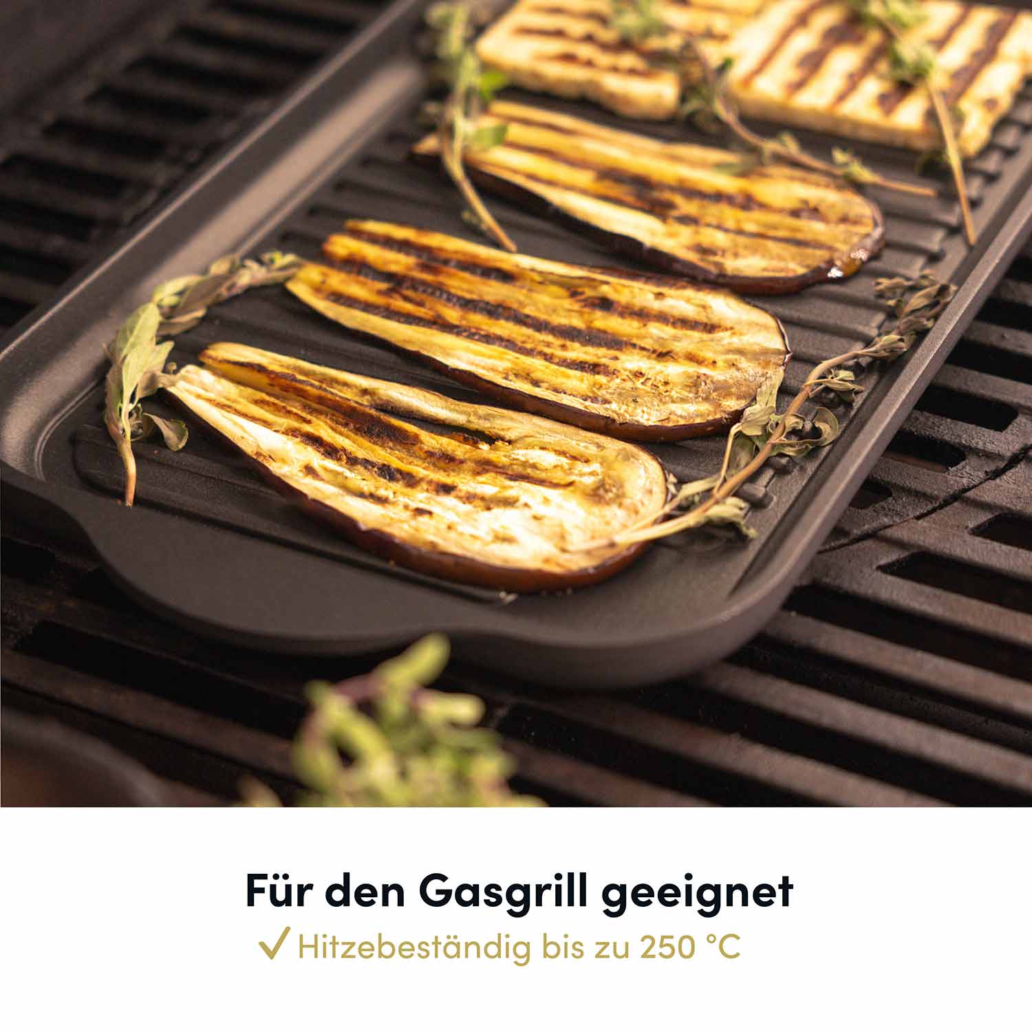 hoffmann-germany-grillplatte-37x23-cm-aluguss-induktion image 7
