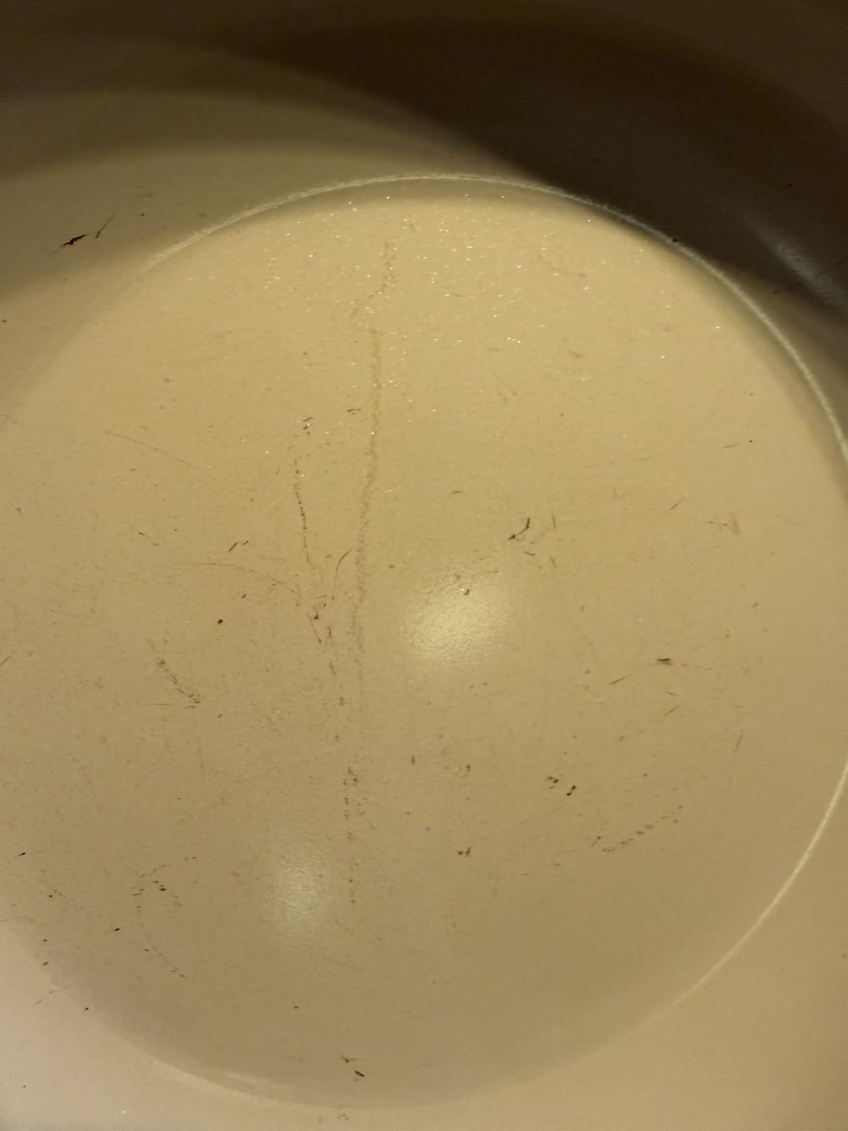 Kochen ohne Ankleben