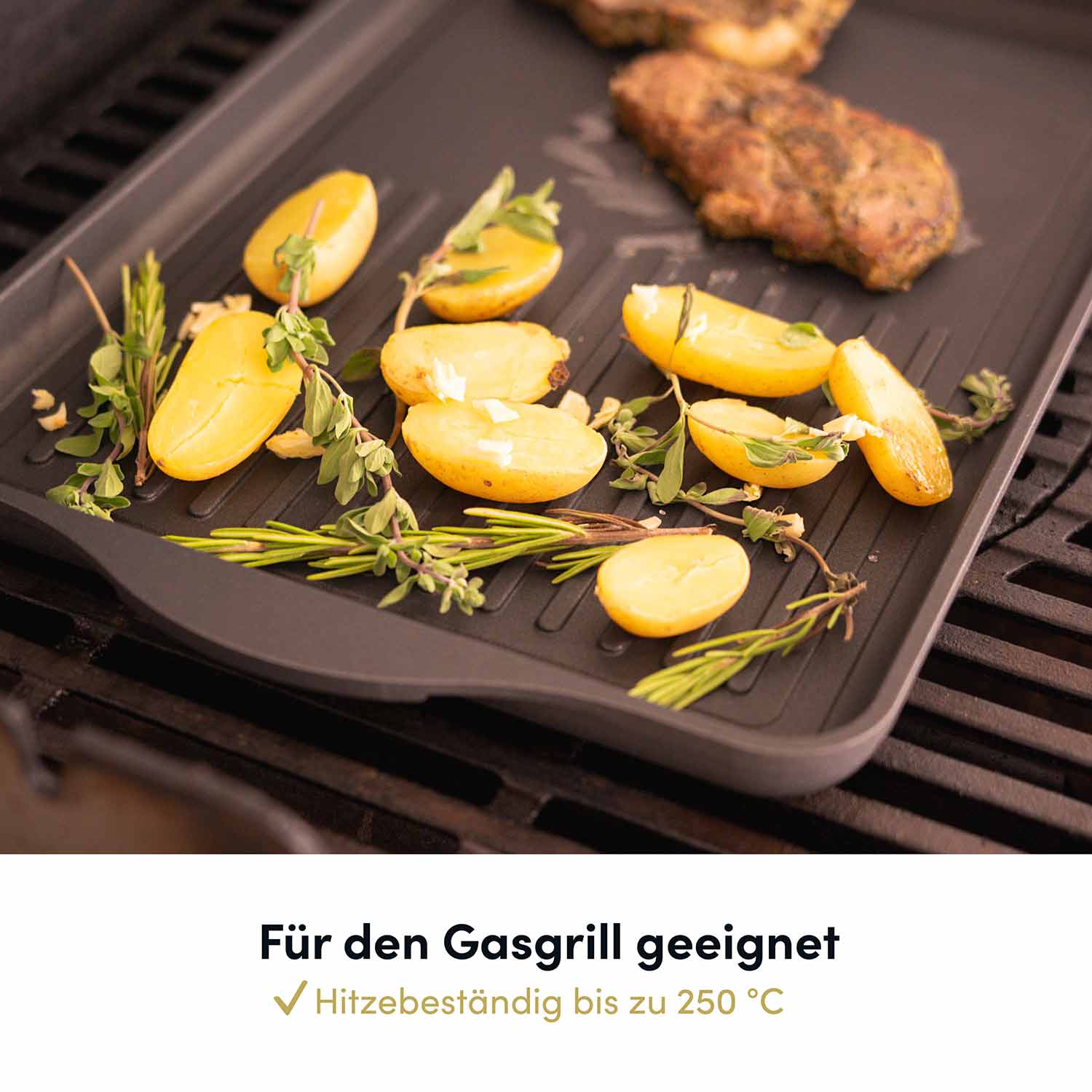 hoffmann-germany-klassik-serie-grillplatte-49x29-cm-aluguss-geriffelt image 6